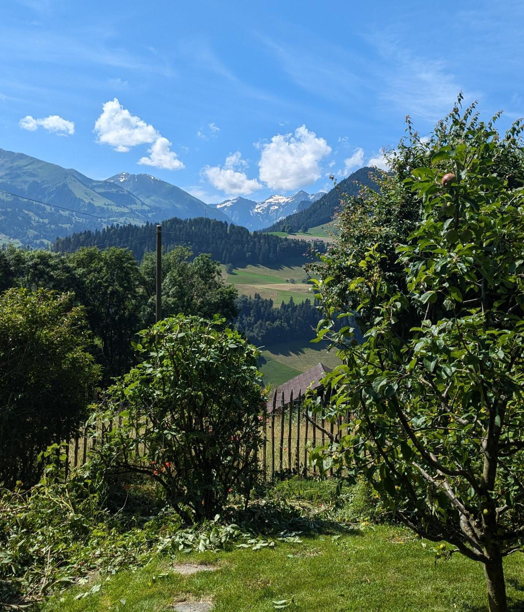Swiss Mountain-Valley View Lodge Erlenbach im Simmental Zewnętrze zdjęcie
