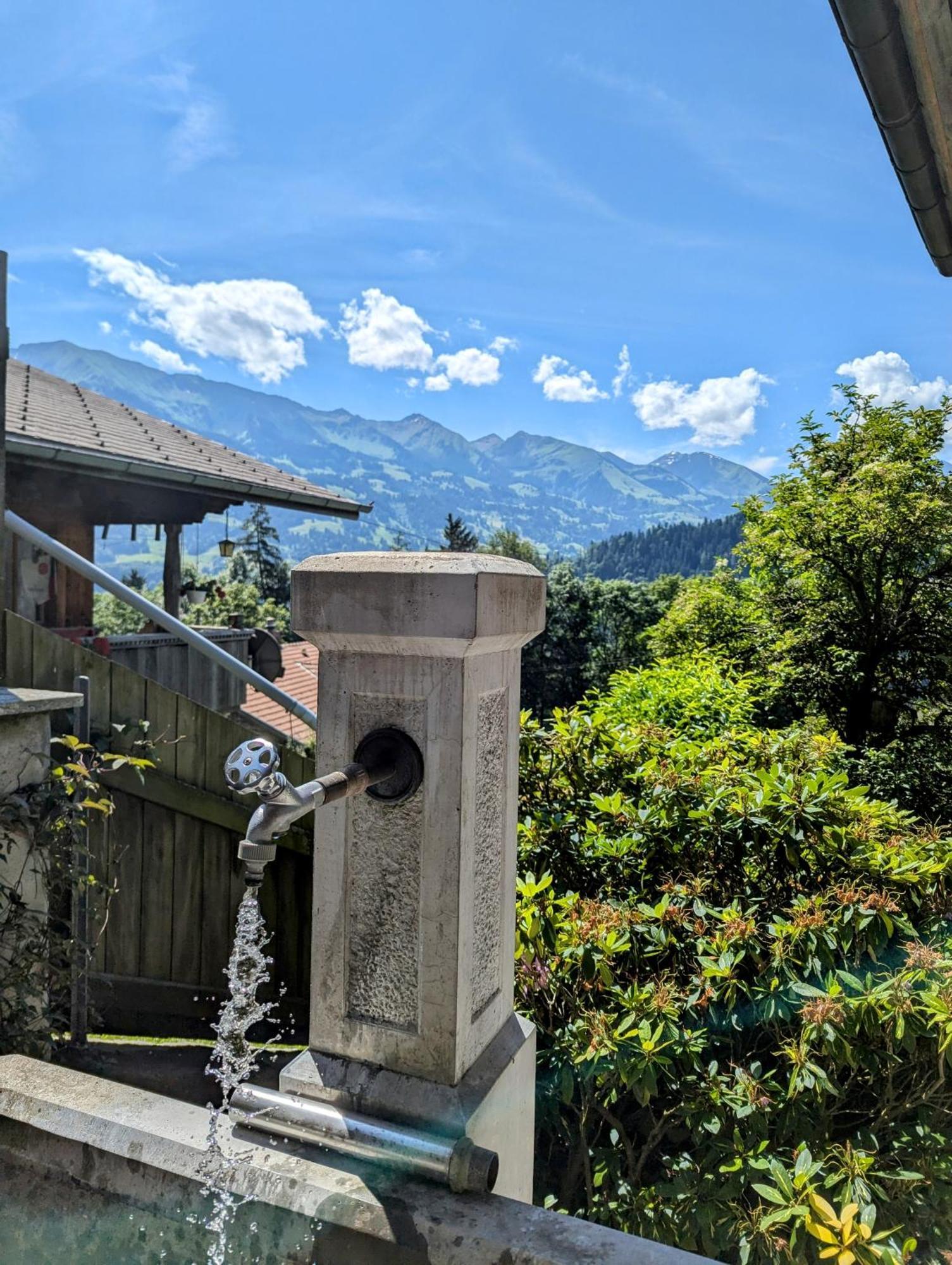 Swiss Mountain-Valley View Lodge Erlenbach im Simmental Zewnętrze zdjęcie
