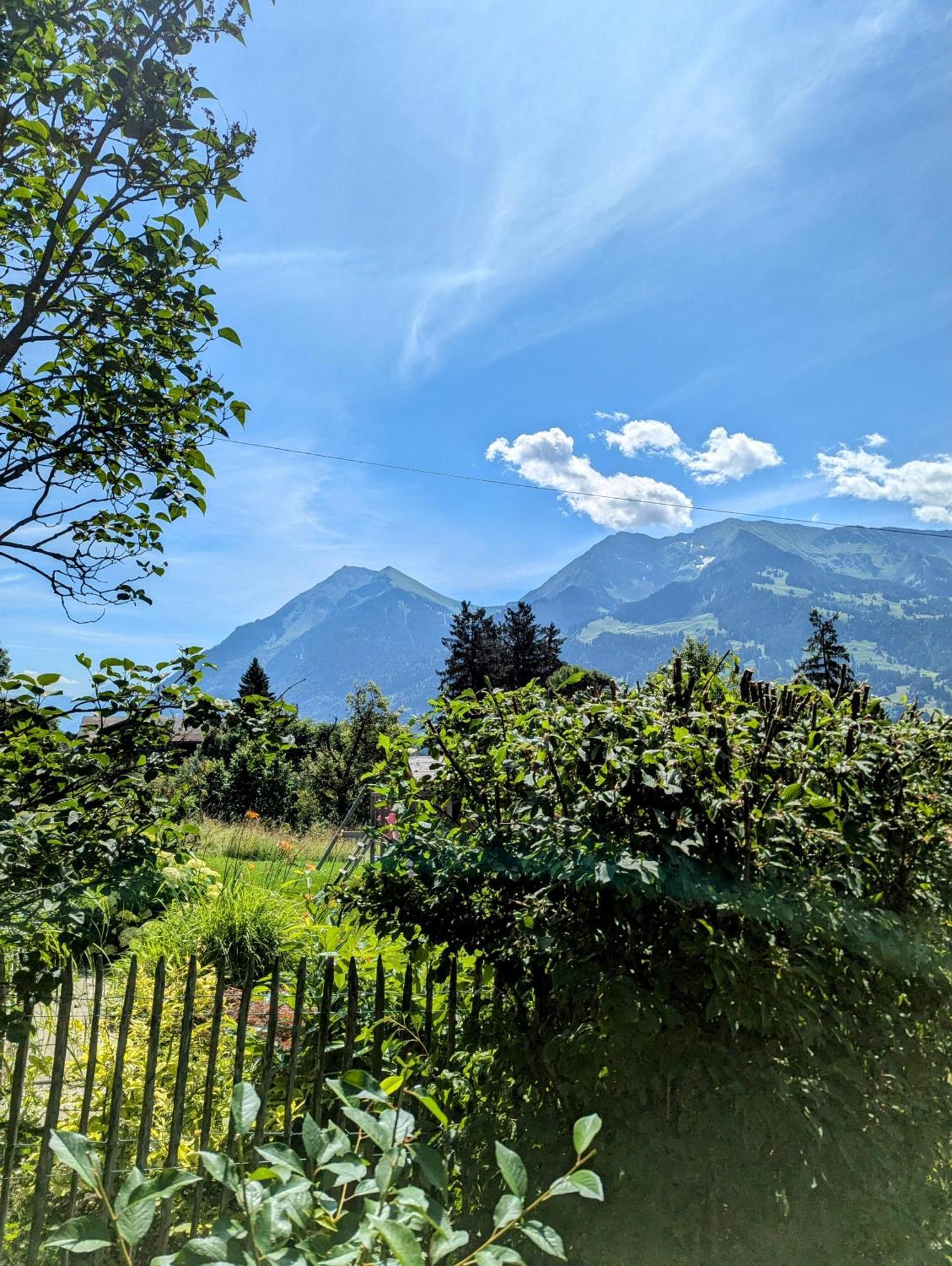 Swiss Mountain-Valley View Lodge Erlenbach im Simmental Zewnętrze zdjęcie