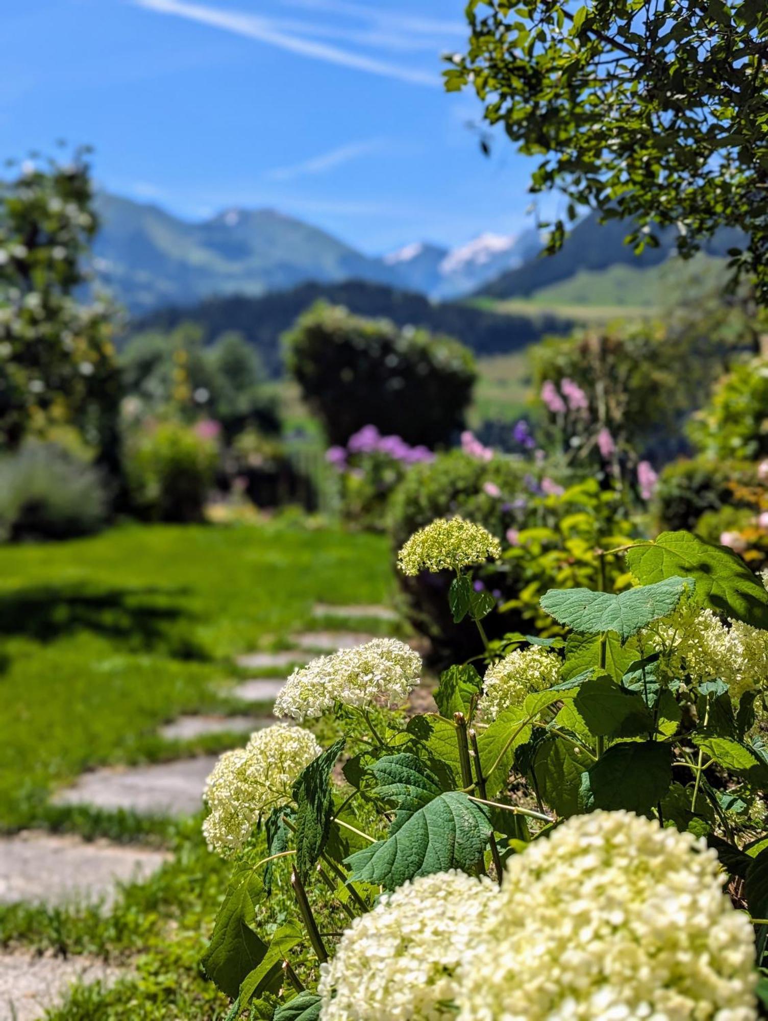 Swiss Mountain-Valley View Lodge Erlenbach im Simmental Zewnętrze zdjęcie