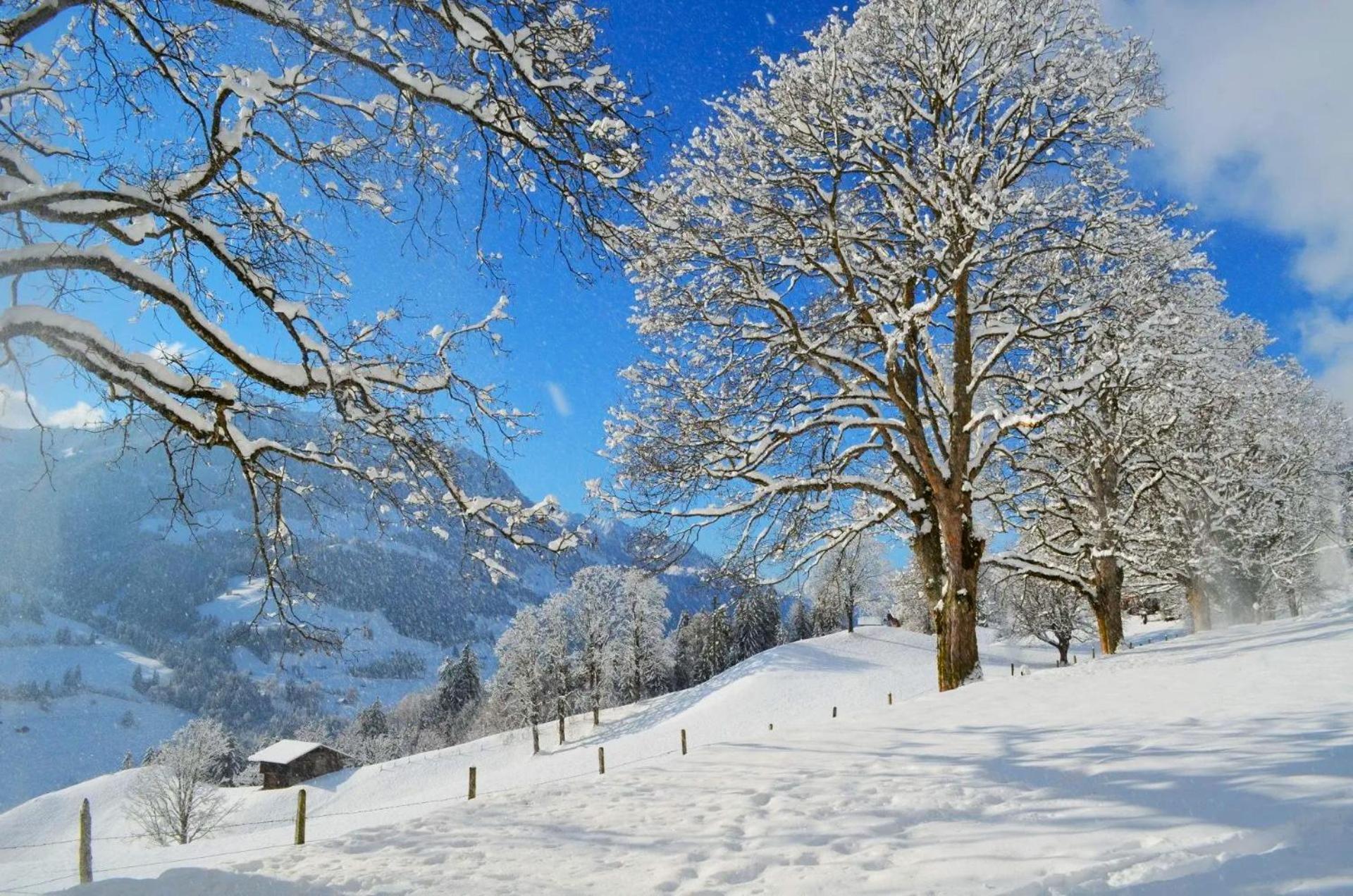 Swiss Mountain-Valley View Lodge Erlenbach im Simmental Zewnętrze zdjęcie