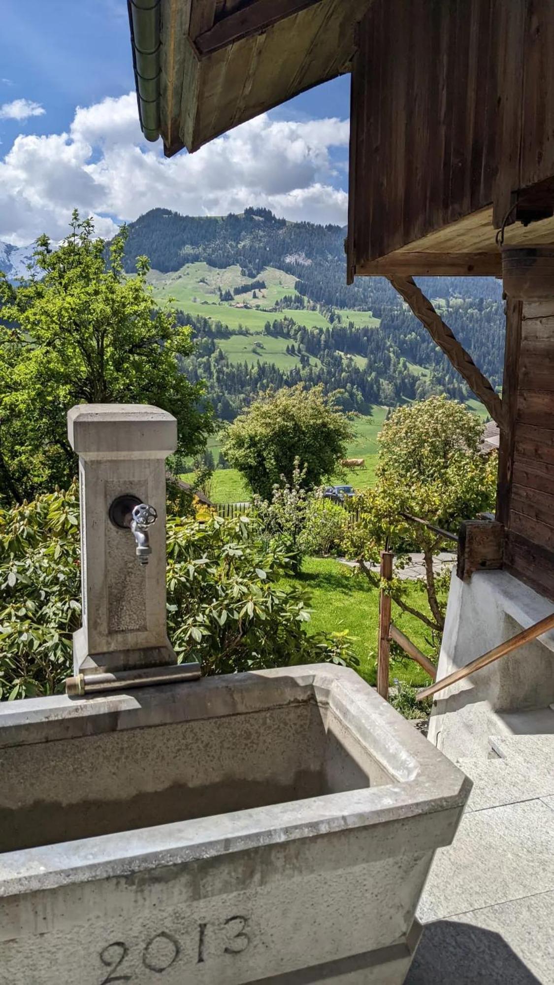 Swiss Mountain-Valley View Lodge Erlenbach im Simmental Zewnętrze zdjęcie
