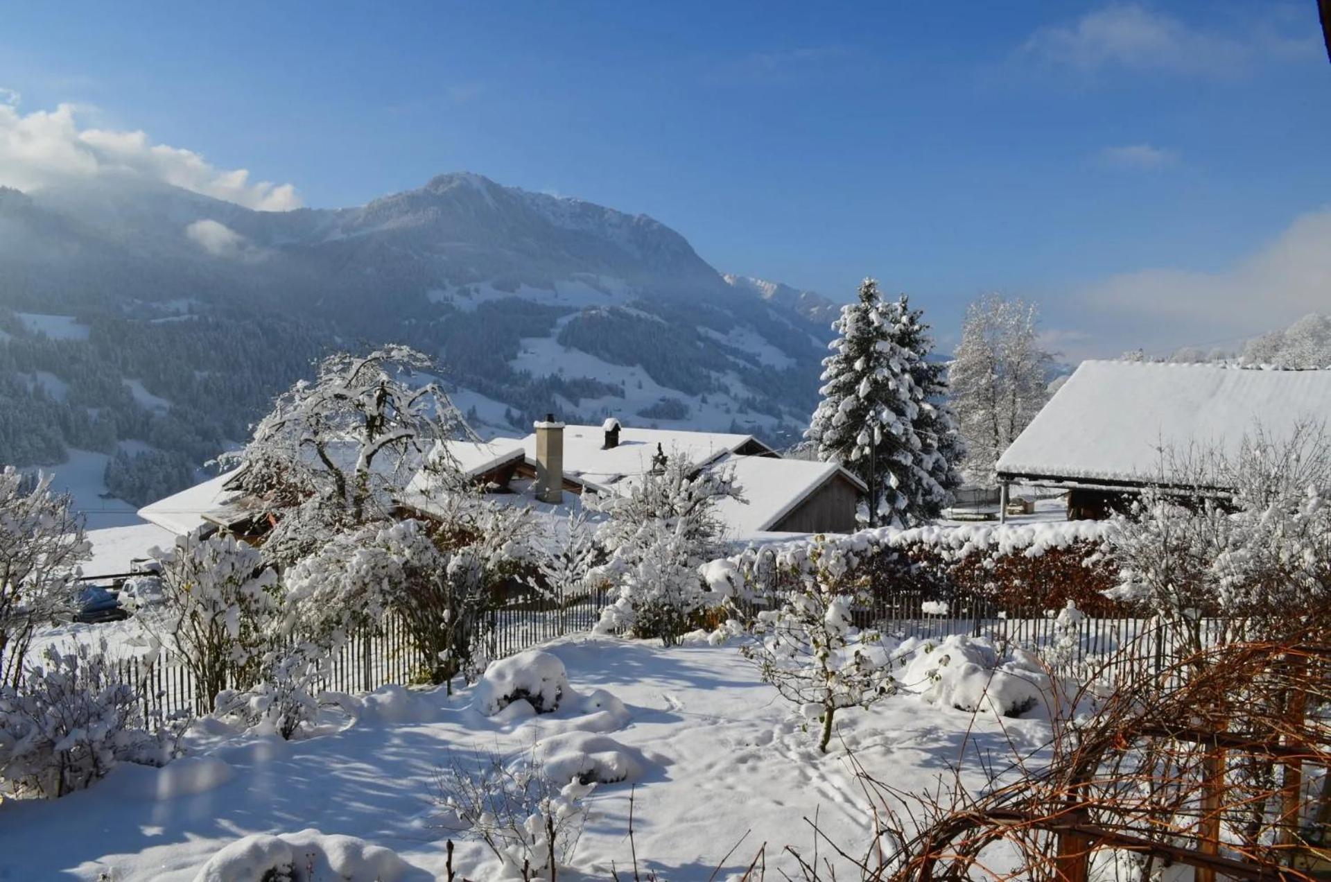 Swiss Mountain-Valley View Lodge Erlenbach im Simmental Zewnętrze zdjęcie