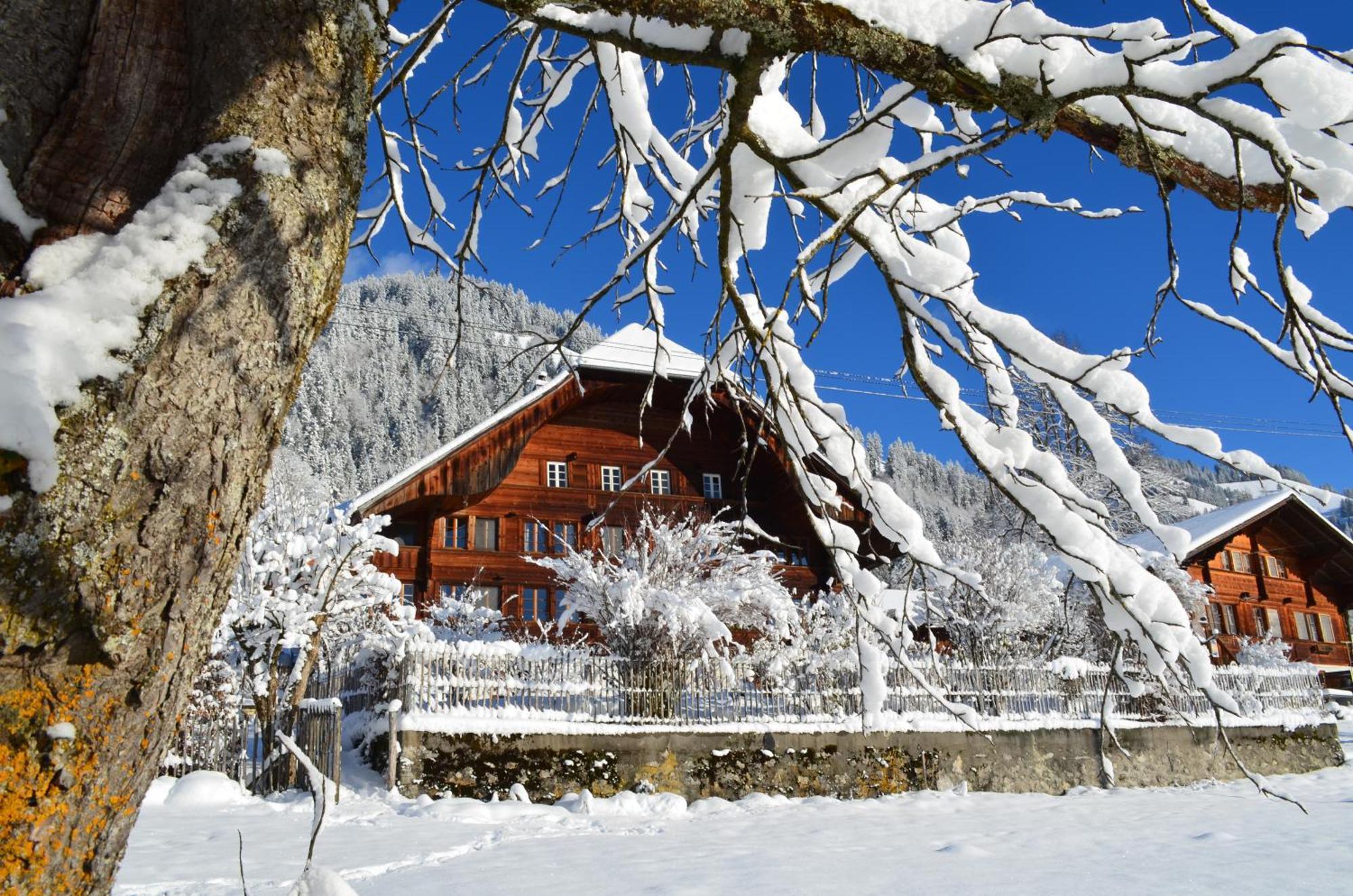 Swiss Mountain-Valley View Lodge Erlenbach im Simmental Zewnętrze zdjęcie